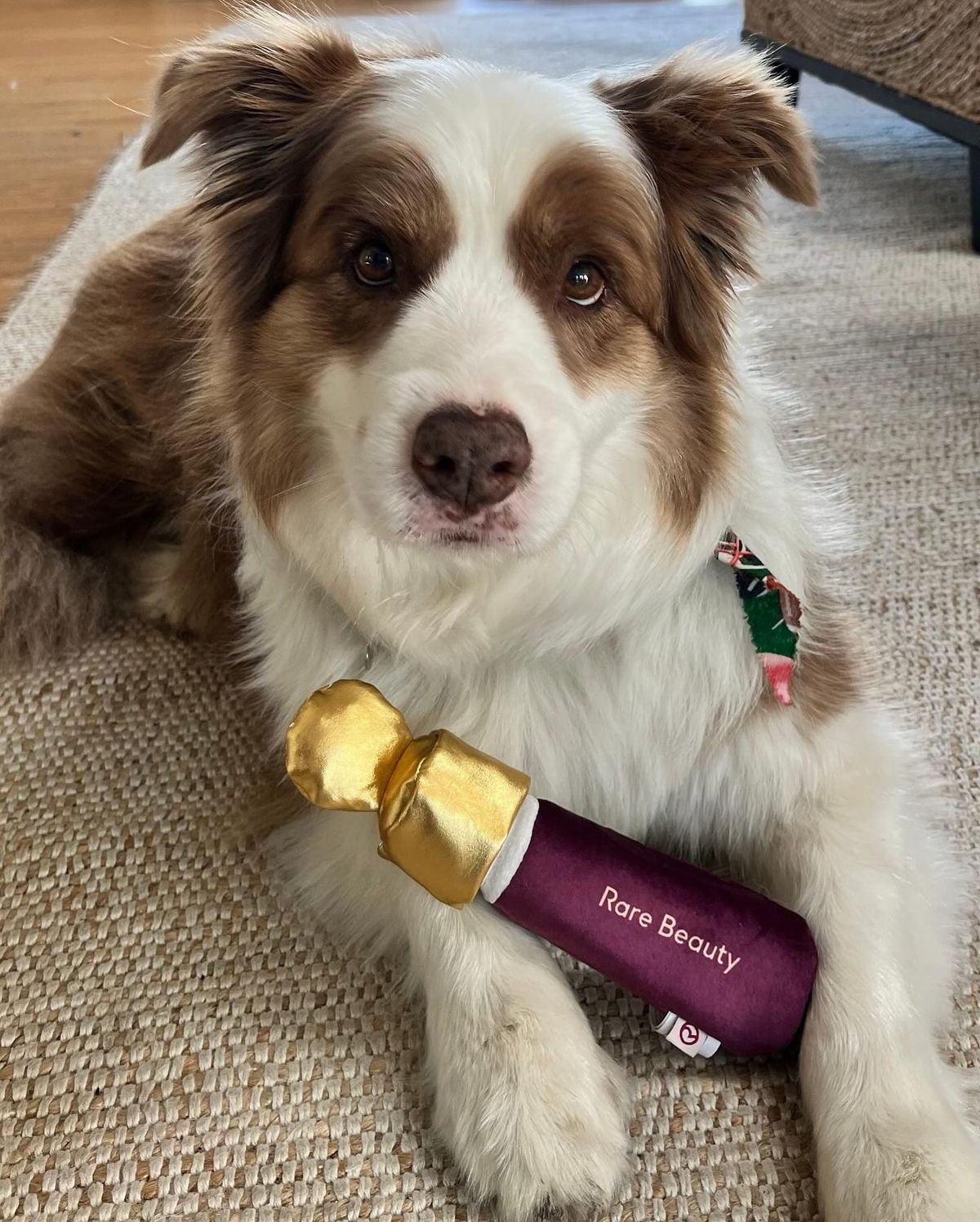 Soft Pooch Blush Dog Toy – Faith (Rare Beauty) 🐾✨