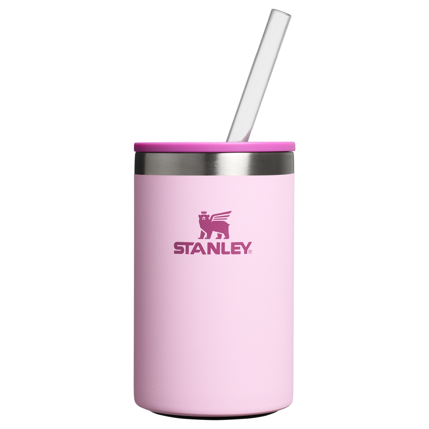 The Everyday Can Cooler Cup 10 oz