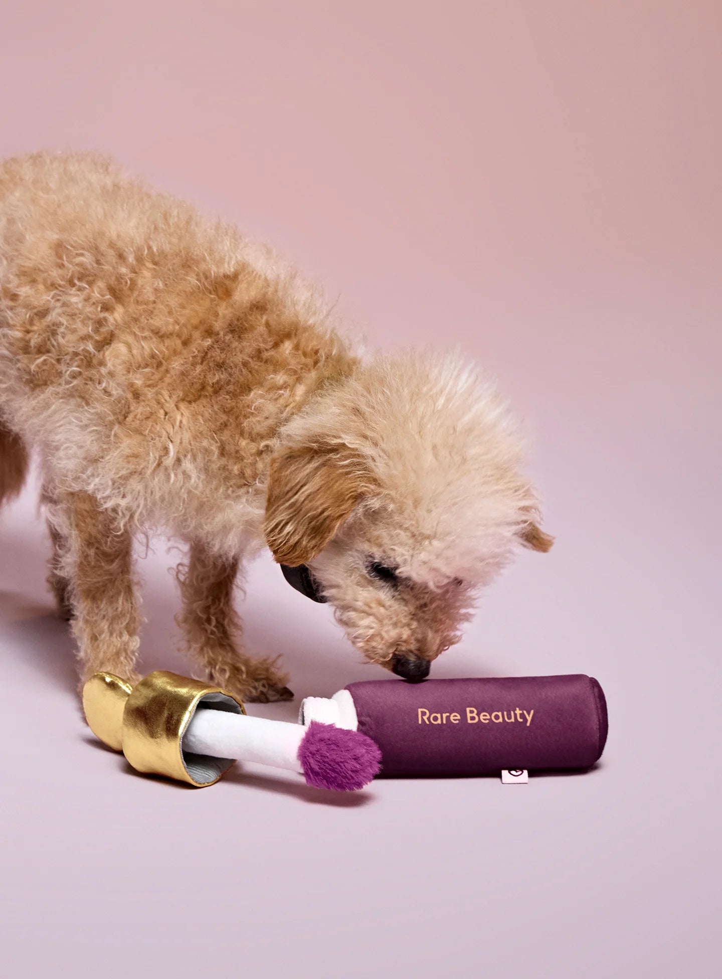 Soft Pooch Blush Dog Toy – Faith (Rare Beauty) 🐾✨