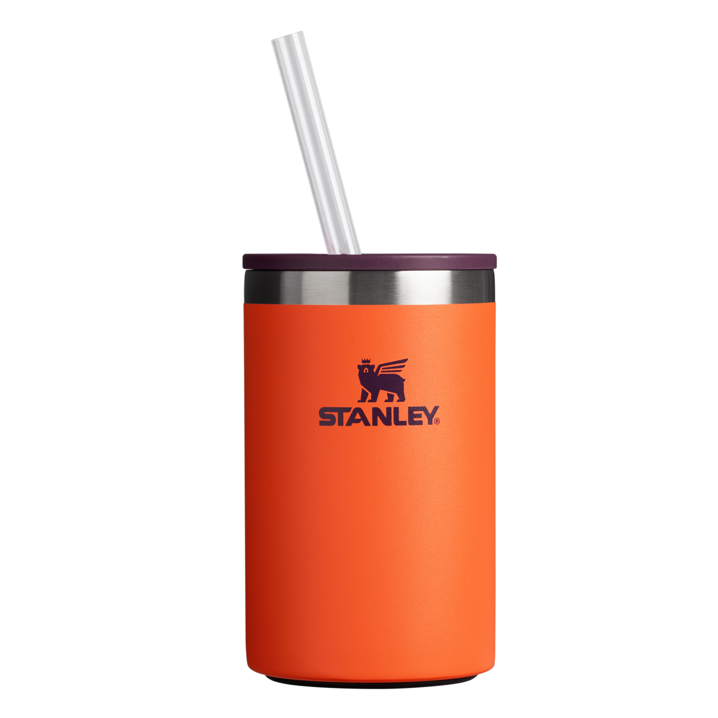 The Everyday Can Cooler Cup 10 oz