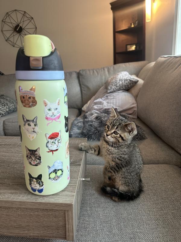 Owala UO Exclusive FreeSip 32 oz – Cat Collage 🐱💧