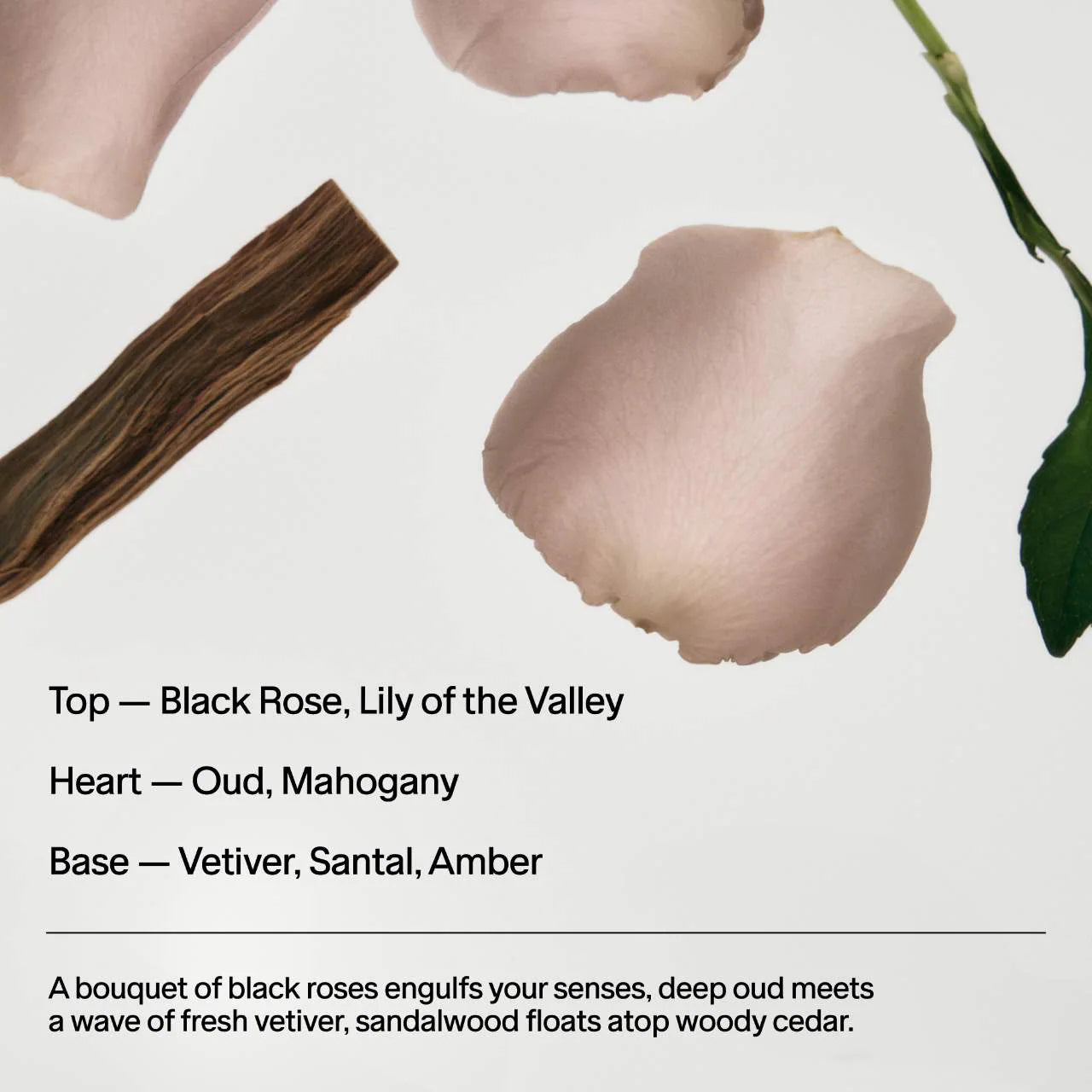 Black Rose & Oud Body and Hair Fragrance Mist