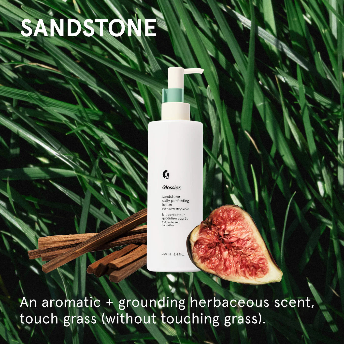 Glossier Daily Perfecting Nourishing Lotion