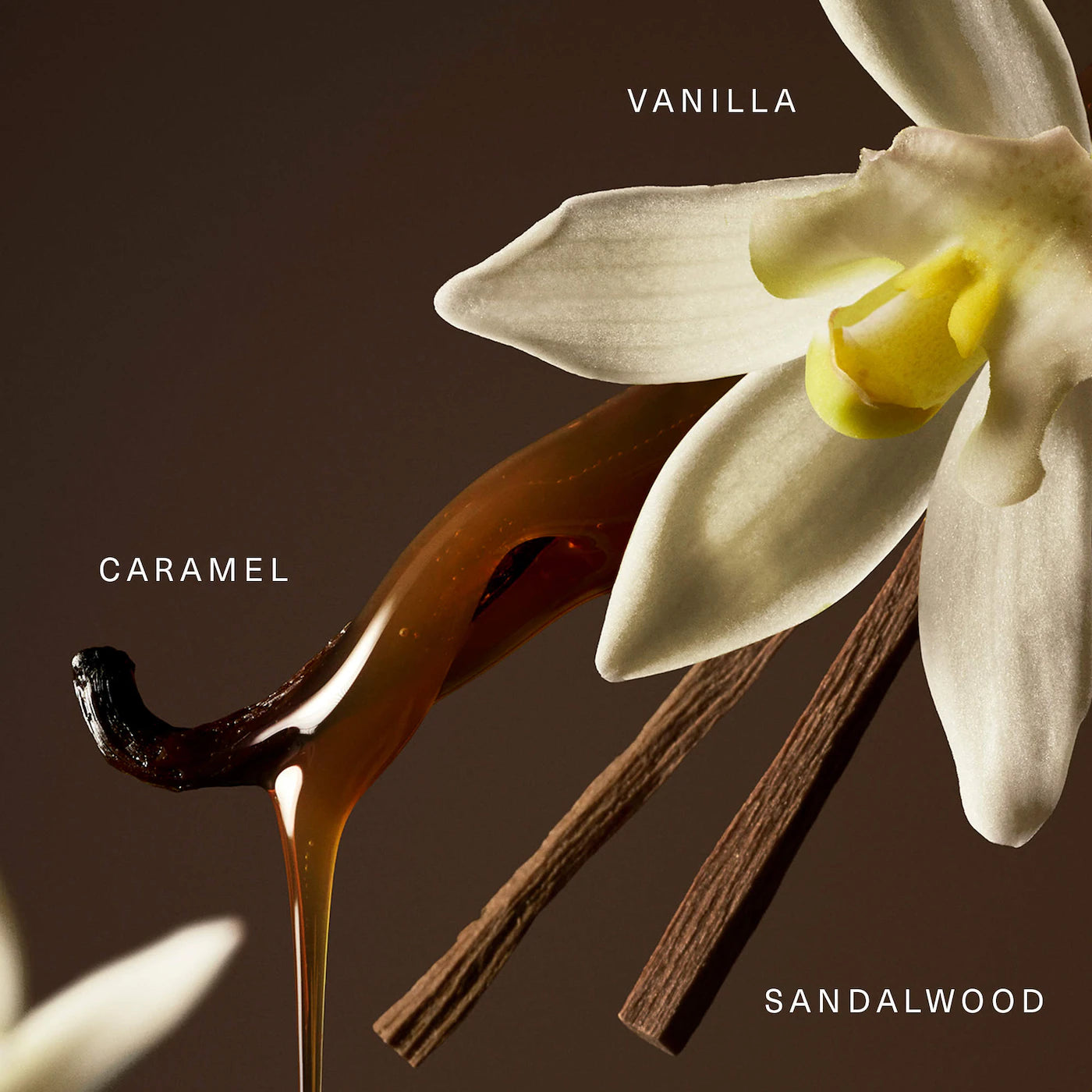 Rare Eau de Parfum 🍬 Vainilla & Caramelo