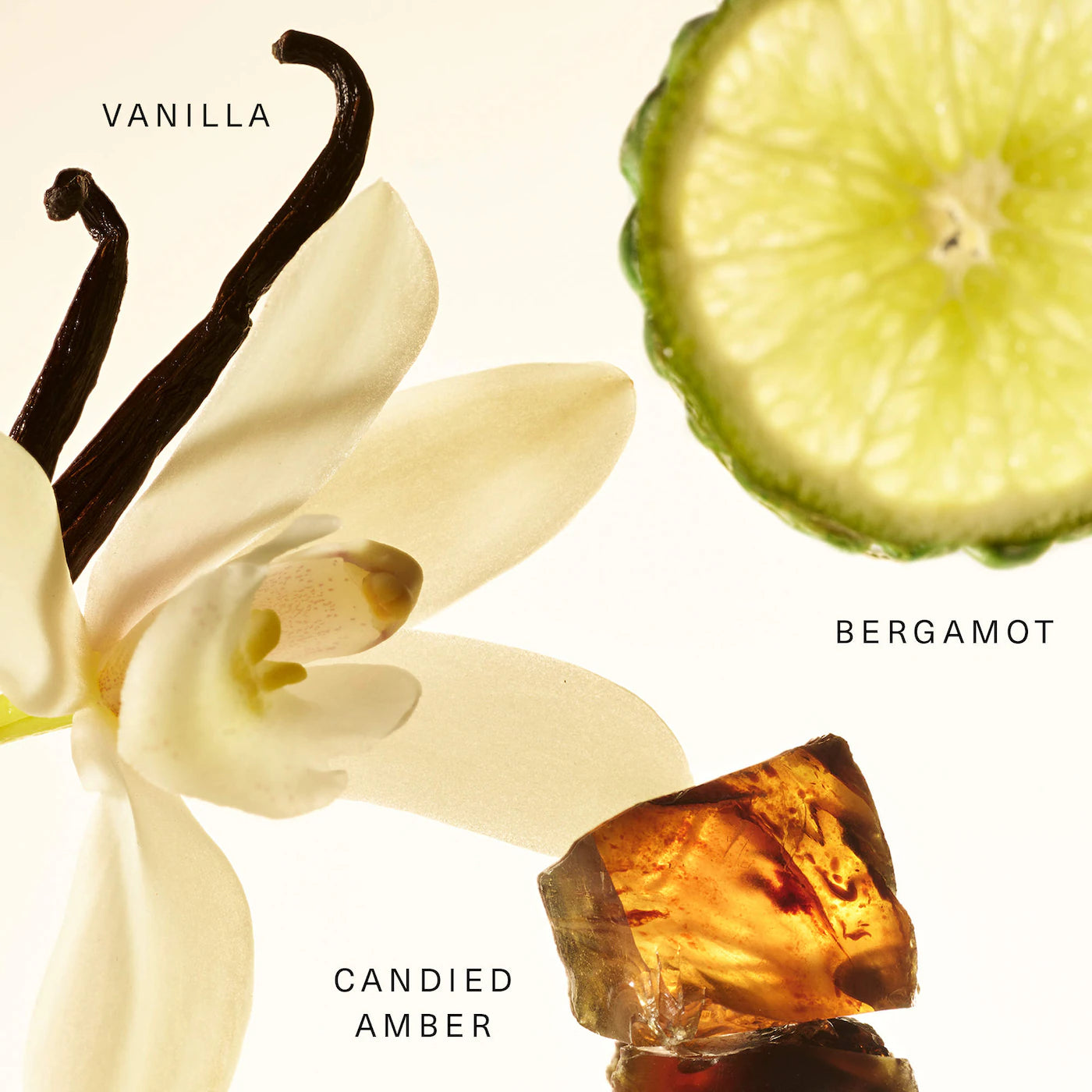 Rare Amber Vanilla Layering Balm – Perfume sólido Rare Beauty 💛