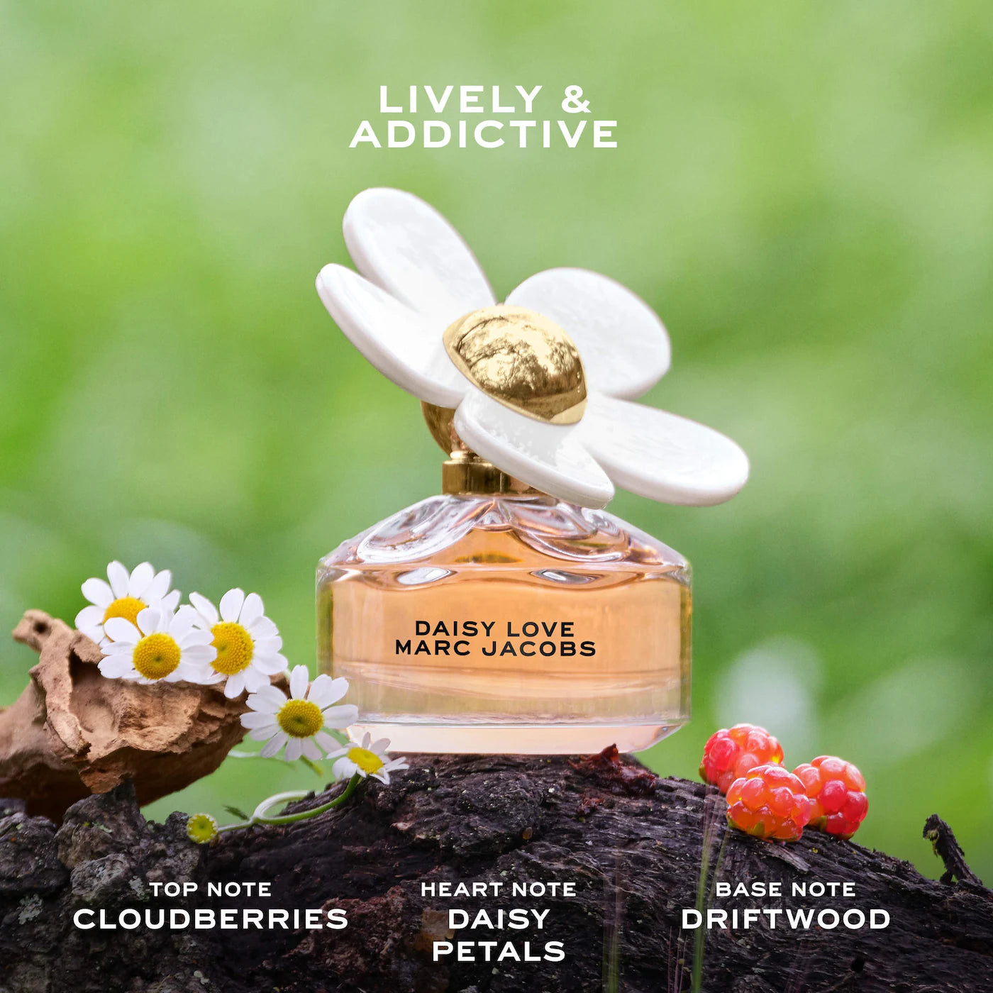 🌼 Mini Daisy Collection Perfume Sampler Set – Marc Jacobs