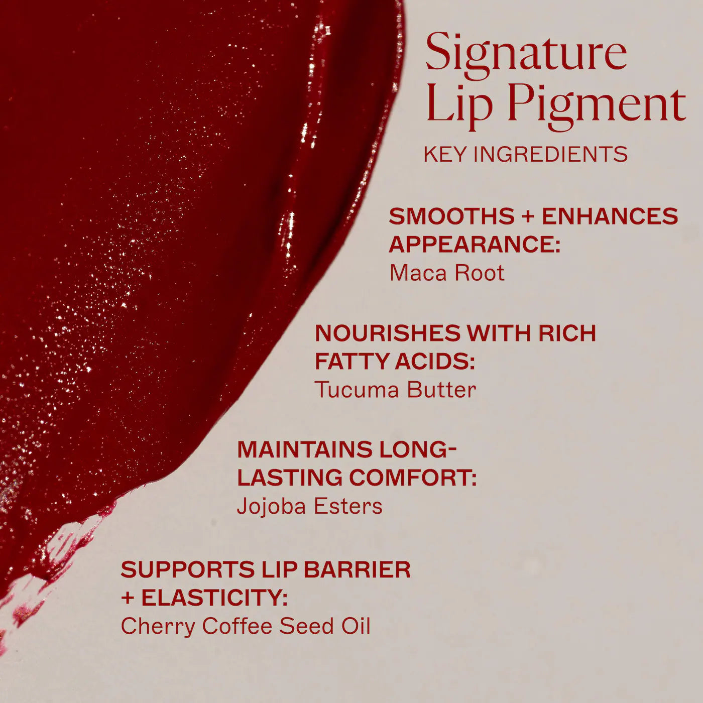 Signature Lip Pigment – MAED 💄