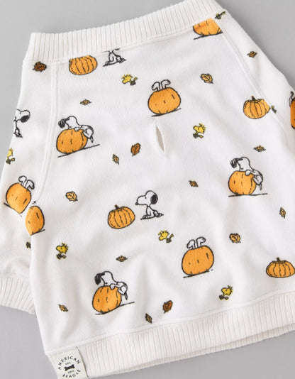 🐶🎃 Snoopy Pumpkin Dog PJ Shirt – American Eagle (Plush · Edición Especial)