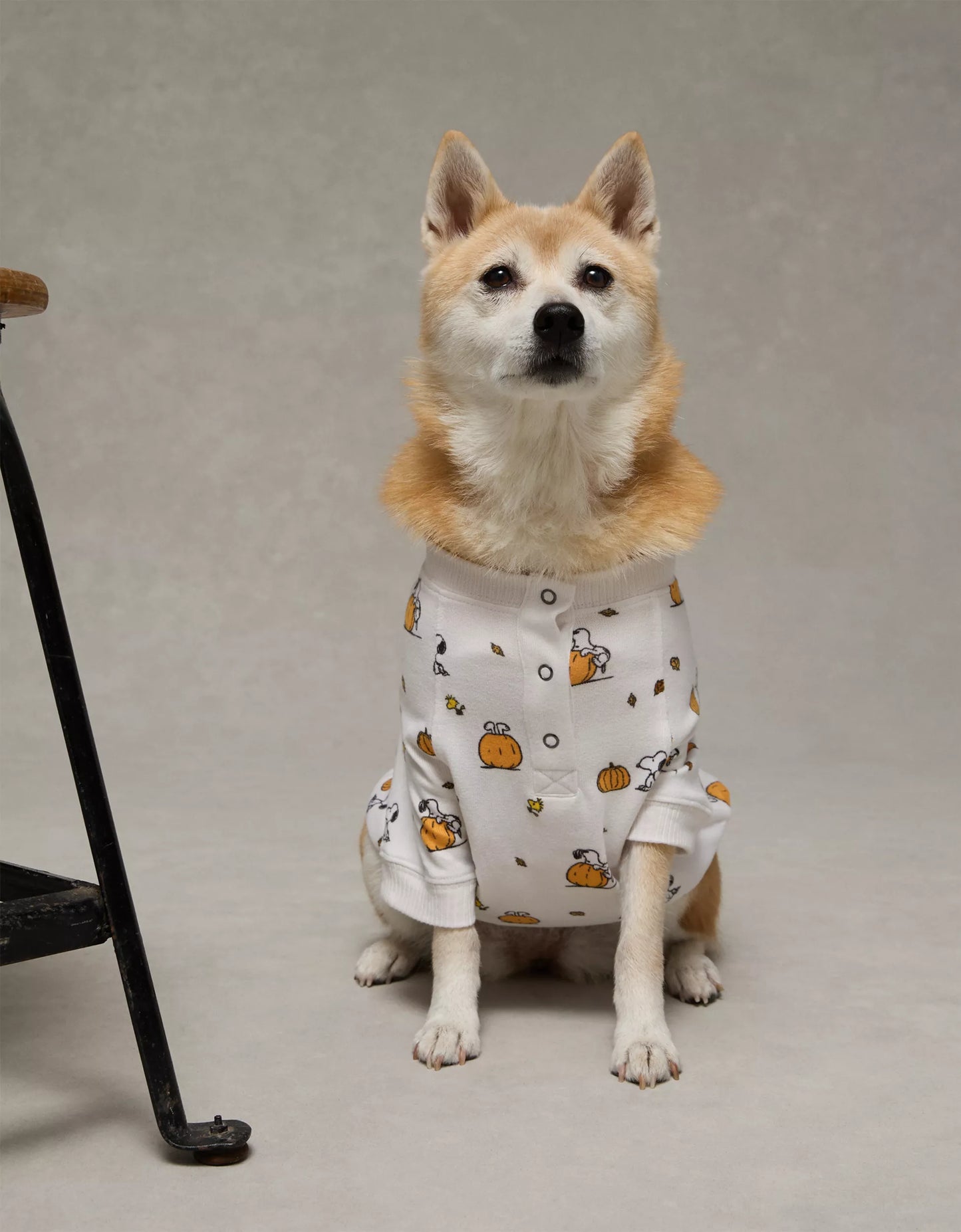 🐶🎃 Snoopy Pumpkin Dog PJ Shirt – American Eagle (Plush · Edición Especial)
