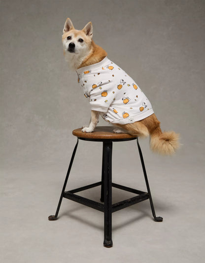 🐶🎃 Snoopy Pumpkin Dog PJ Shirt – American Eagle (Plush · Edición Especial)