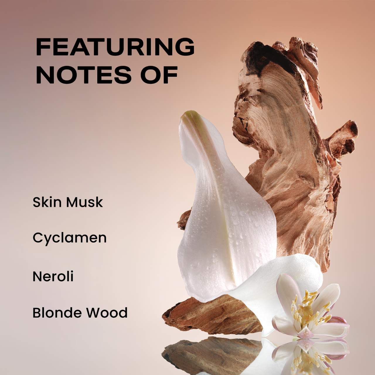 🫧 Missing Person EDP – Phlur