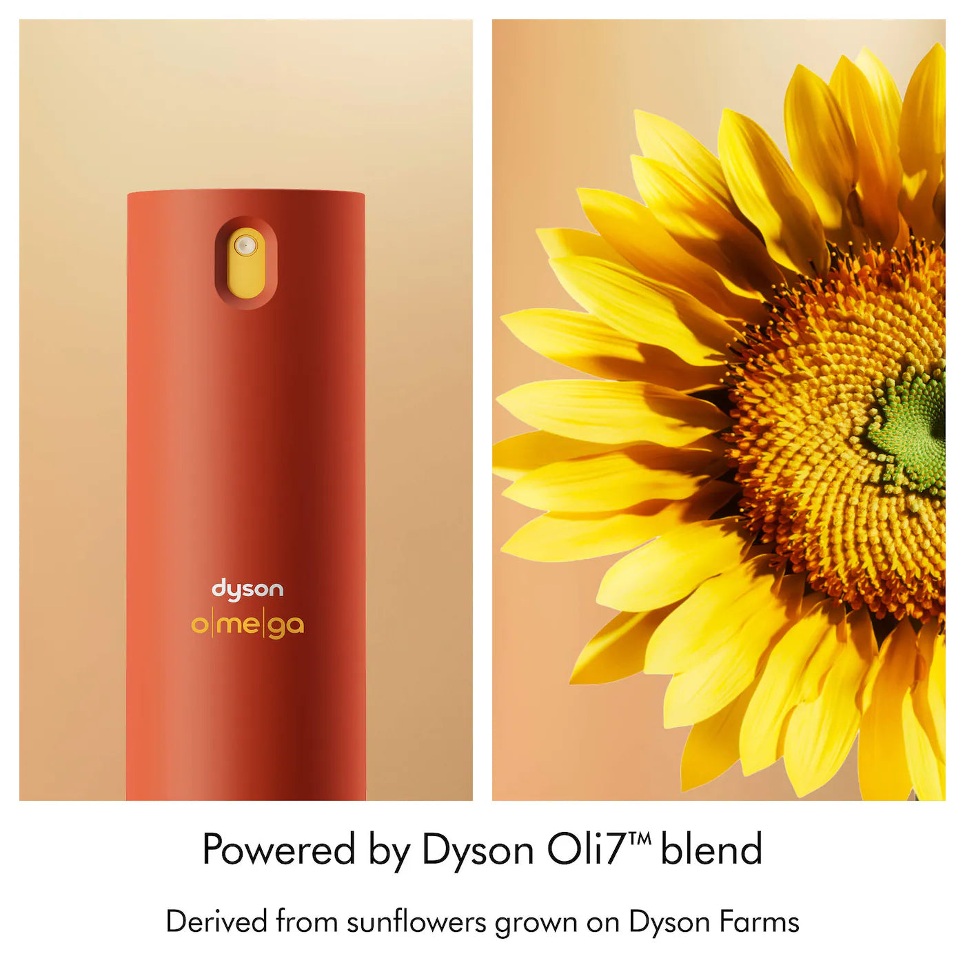 Dyson Mini Omega™ Leave-In Conditioner – Protección térmica y nutrición 💧🔥