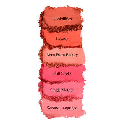 🍑 Very Beautiful Matte Velvet Blush – Hung Vanngo Beauty