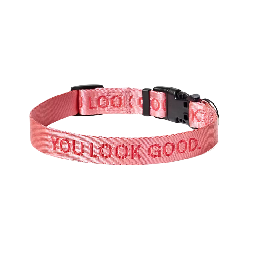 Glossier You Look Good Collar collar edición limitada aesthetic para mascotas en México