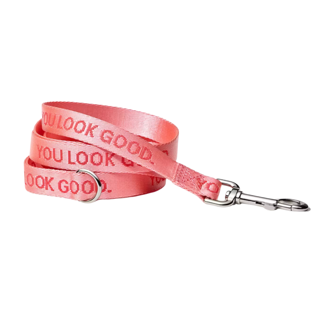 Glossier You Look Good Leash correa edición limitada aesthetic para mascotas en México